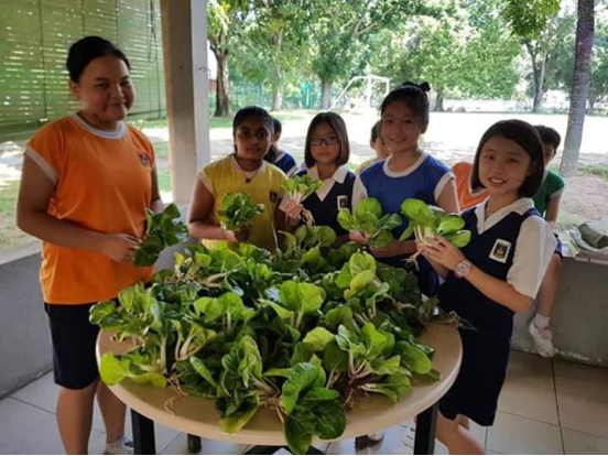 Student harvest their crops from their key hole garden project